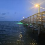 pier1