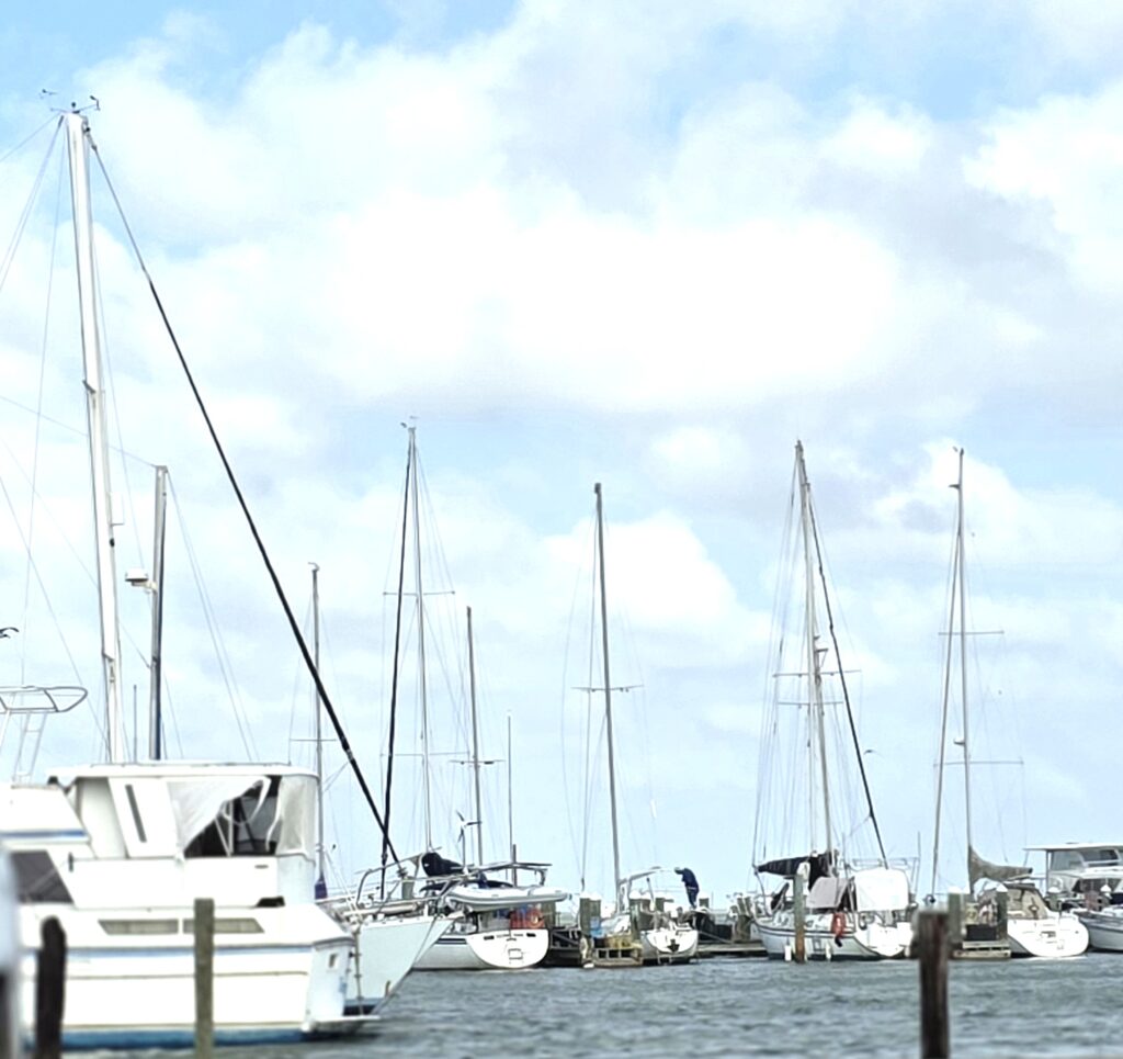 boats