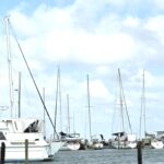 boats